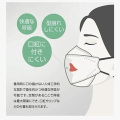 マスク　42枚入 個包装　箱無 ホワイト 3D立体構造マスク　ntsg高性能の画像