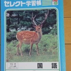 連絡帳と国語のノートの画像