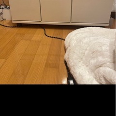 決まりましたの画像
