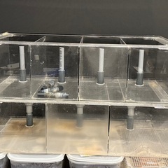 早い者勝ち！多段オーバーフロー水槽の画像