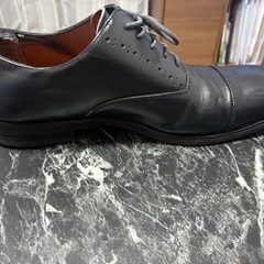 レザードレスシューズの画像