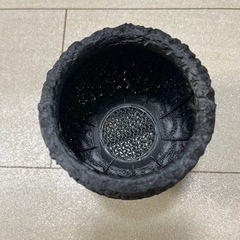 鉢　観葉植物の画像