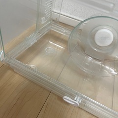 グラスハーモニー360プラス2個の画像