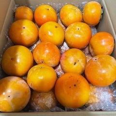 ⑤和歌山県　九度山産　富有柿　甘柿　大粒　8.6kg 43個　おまとめ　大容量　一箱　セットの画像