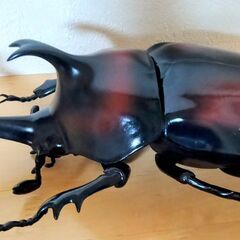 カブトムシ　昆虫　MEGA　フィギュアの画像