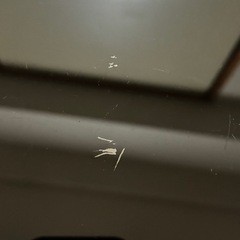 ガラステーブル【取りに来ていただける方限定】の画像