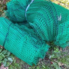 アニマルネットの画像