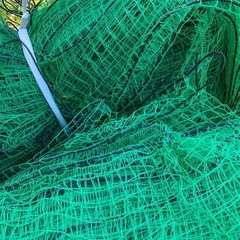 アニマルネットの画像