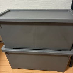 カインズ　インテリアキャリコ L シックグレー(2個入り)の画像