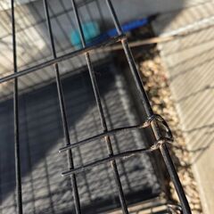 折り畳みペットゲージの画像