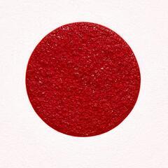 まると心で一つになるアート●〖太陽〗　がんどうあつし油絵画原画SM額付日の丸日本の画像