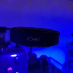 水槽　海水魚　サンゴの画像