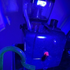 水槽　海水魚　サンゴの画像