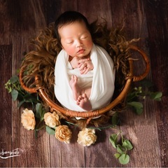 ニューボーンフォトの画像