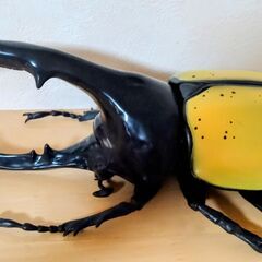 ヘラクレスオオカブト　昆虫　MEGA　フィギュア　大きい　　BIGサイズの画像