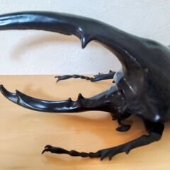 ヘラクレスオオカブト　昆虫　MEGA　フィギュア　大きい　　BIGサイズの画像