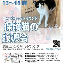 ニャン友キャットラウンジ譲渡会〈12/6-7〉