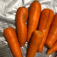 人参10kg(規格外のもの)の画像
