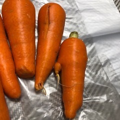 人参10kg(規格外のもの)の画像