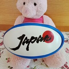 おもちゃのラグビーボールの画像