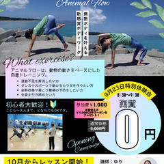 【12月】カラダが変わるアニマルフロー「姿勢改善・ダイエット・運動不足解消」の画像