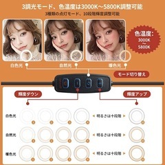 女優ライト パソコン用 自撮りライト USB式 WEB会議 テレワーク リモートワーク 就活の画像