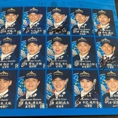 ブルーインパルス　パンフレット　2025  サイン入りの画像