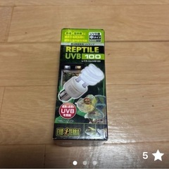 爬虫類・小動物用ガラス製飼育ケージ「REPTI WILD｣の画像