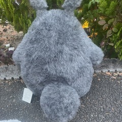 トトロぬいぐるみ
の画像