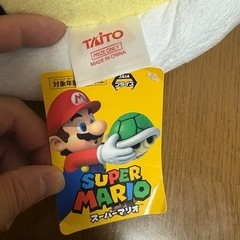 ぬいぐるみ(緑こうら)の画像