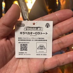 ジャグラーオーロラトートの画像