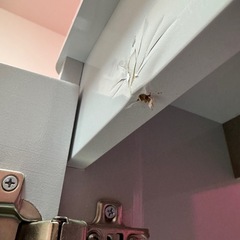 水槽台　コトブキ工芸　プロスタイル　９０４５の画像