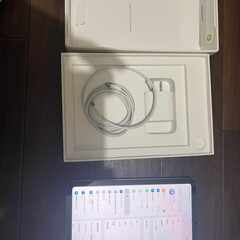 【第7世代】iPad mini7 Wi-Fi+Cellular 128GB スペースグレイ MXPT3J/A A2995の画像