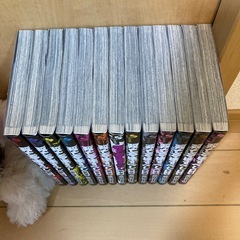 双亡亭壊すべし1〜13巻の画像