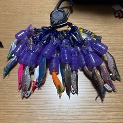 アブガルシアの画像