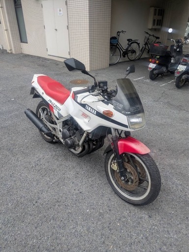 fz250 フェーザー　実働