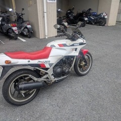 fz250 フェーザー　実働　の画像