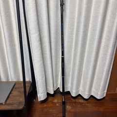 メガディス4-53遠投 の画像