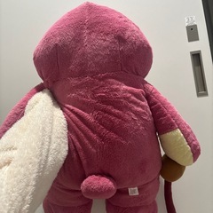 ロッツォの画像