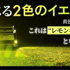 本日限定価格　HID屋　LEDフォグランプ　H8.H11.H16の画像