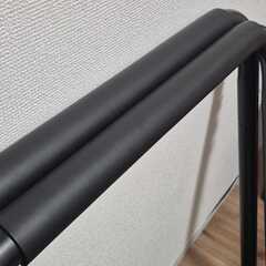 ほぼ新品 STEADY ディップスバーの画像