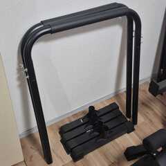 ほぼ新品 STEADY ディップスバーの画像