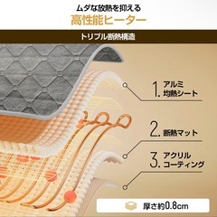 電気カーペット新品 140×80cm 55℃温度調節 タイマー付 ダニ退治 省エネの画像