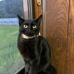 5月生まれの兄弟