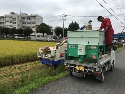 新米　令和7年産白米　30キロ　ひとめぼれ　熊谷市　③ 安い