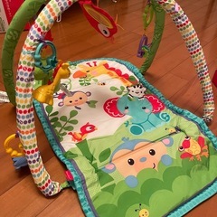 レインフォレスト　指遊びミュージカルジムジム
の画像