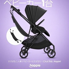 hoppieハンモック追加シート (たぬき) 鶴見緑地のベビー用品