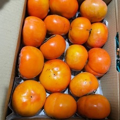 和歌山県　九度山産　甘柿　富有柿　ミックスサイズ　28個　5.2kg おまとめ　一箱　セットの画像