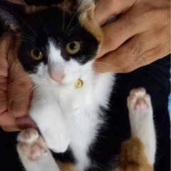 相談中❤️ナナちゃん