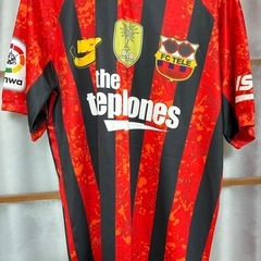 邦ロックバンTの画像